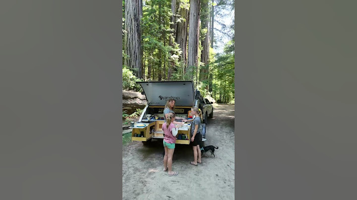 Picnic in the Redwoods | Easy Camp Cooking with PinDrop