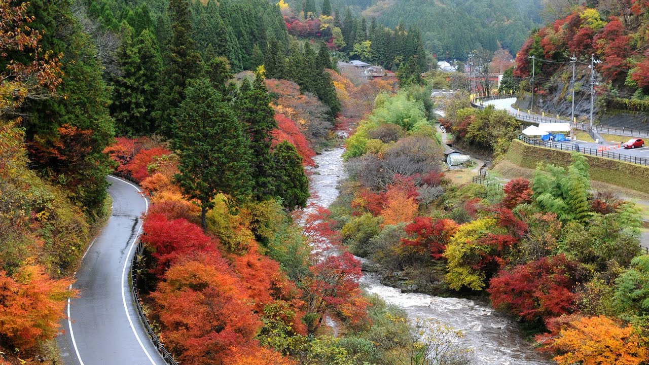 Fall Colors in Toyota | Aichi, Japan - YouTube