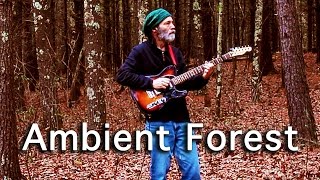 Ambient Guitar Meditation 176 Your Head is a Living Forest (Fender Baritone Guitar)