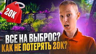 Испортил микрозелени на 20к? Бизнес на микрозелени!