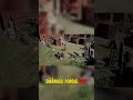 Quer Um Jogo Que Te Prenda? O Combate Tem Que Ser Assim! Crimson Desert