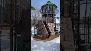 Edmonton Playgrounds - Caernarvon Playground
