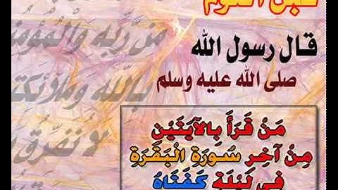 الشيخ العراقي نعمه الحسان من سورة فاطر