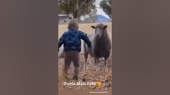 Quem Venceu Essa Batalha Fofa? Criança X Animal
