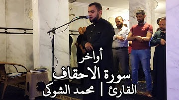 أواخر سورة الاحقاف الشيخ | محمد الشوكي Mohamed ElShoky