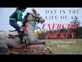 Day in the Life| Galloping Thoroughbred RACEHORSES