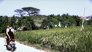 Canggu before the influencers