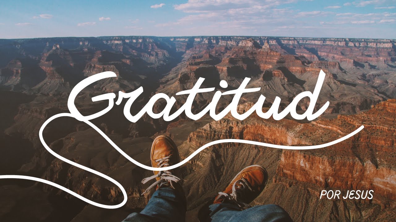 Descubre como la gratitud puede transformar tu vida 🙏 | 🥰 - YouTube
