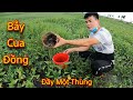 Bỏ Ra 1 Nghìn Mua Mồi Bẫy Cua Đồng Ở Đầm Nước Bỏ Hoang Sau Một Ngày Thu Về Đầy Một Thùng Cua|Mạnh TG