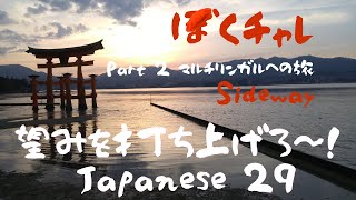 Duolingoで母国語～ 29 『Desires 1』をレベル１にしてガンガン望みを発しよう！Native Japanese speaker tries Japanese course