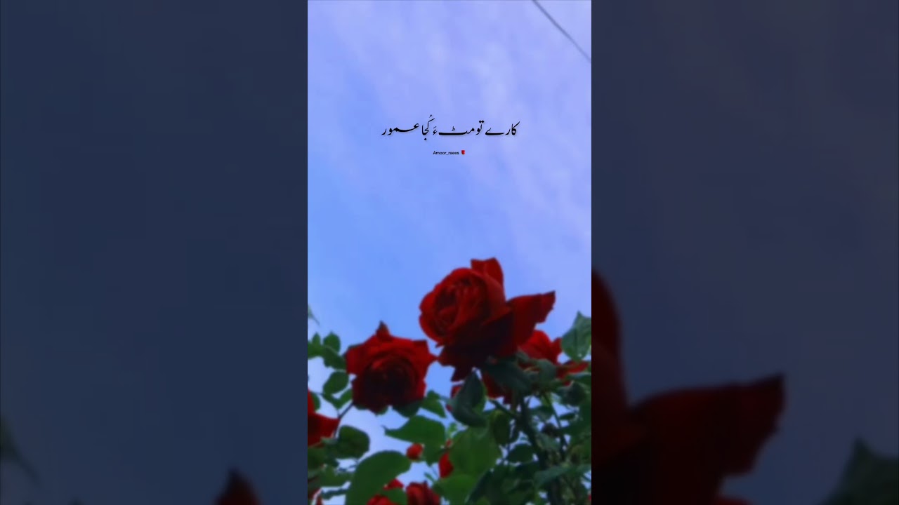 Balochi status song / shahjan dawoodi