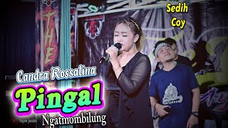 PINGAL ( ngatmombilung ) Candra Rossalina The Celeng live dongkrek jandutan.. Gleeerrr