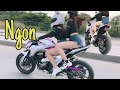 Thanh Niên Dại Cho Gia Hân Mượn Kawasaki Z800 Màu Hồng | MinhBiker