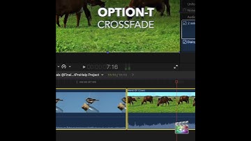 Final Cut Pro Shortcut | Option-T | Crossfade