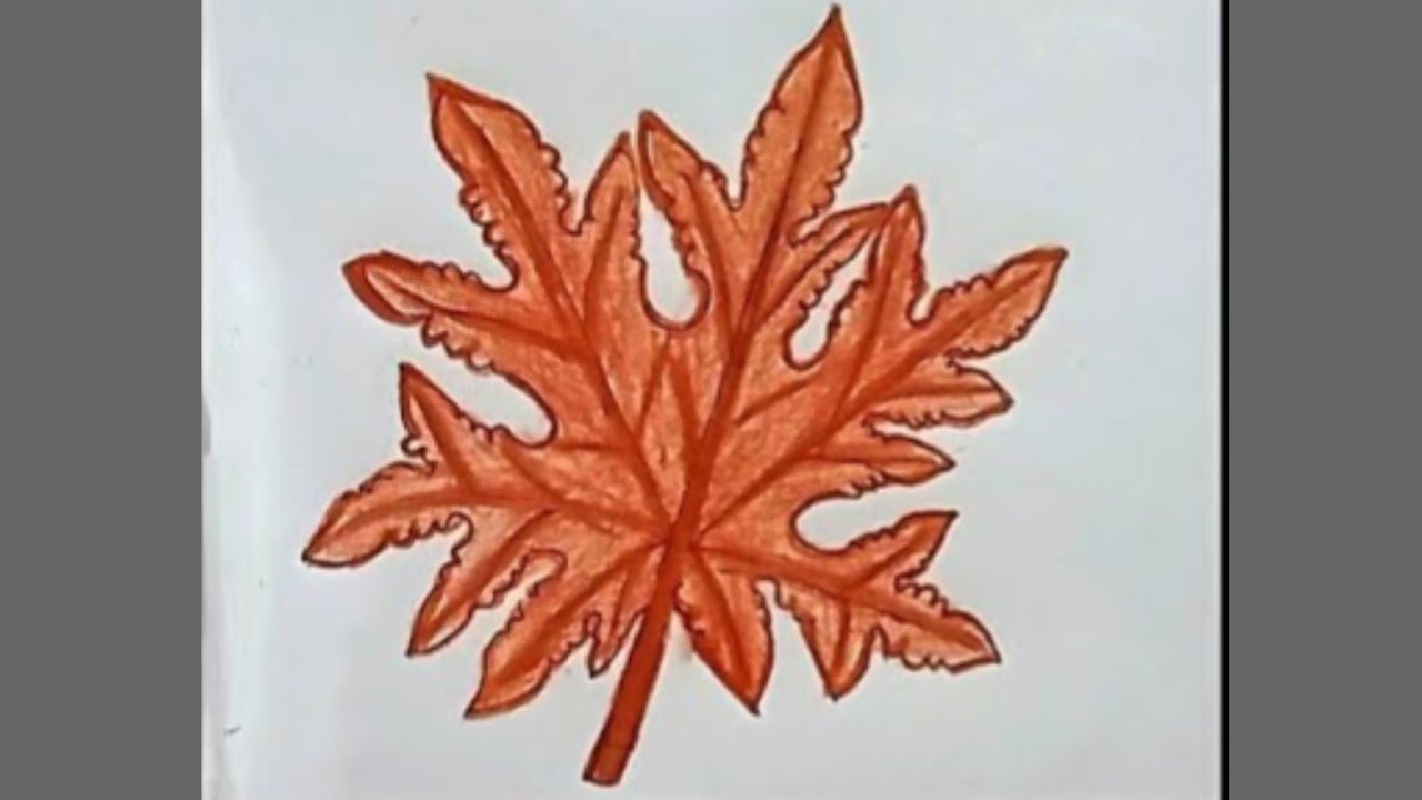 How to draw maple leaf step by step (very easy) | Art video | Easy ...