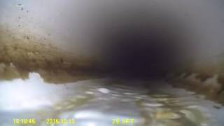 S Ash St Tacoma, WA 98405