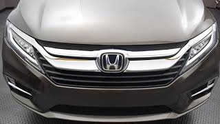 pewter pacific honda odyssey metallic