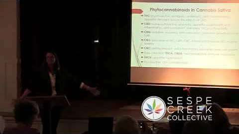 Cannabis Clinic - Beginner's Guide to the Whole Pl...