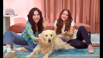 Bosch and AIoT – A smart connection: Pet tracker