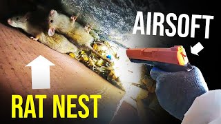 THE BEST WAY TO GET RID OF RATS QUICKLY!! Airsoft...
