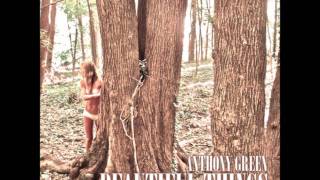 Video thumbnail of "anthony green - do it right"