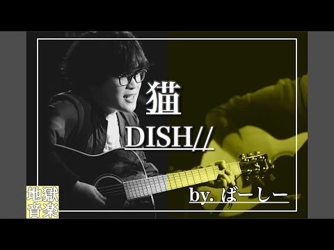 【弾き語り】猫 / DISH//（ばーしー）【歌ってみた】