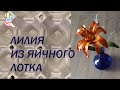 Такого цветка из яичных лотков вы ещё не видели! [Diy ]