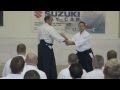 Aikido: Christan TISSIER in Budapest 2013 (teaching)