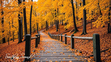 Relax and Enjoy 🍁 Autumn Melodies for Stress Relief & Healing