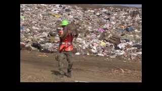 Adam's Falconry Service-Landfill