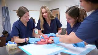 Katy ISD CTE Overview Videos