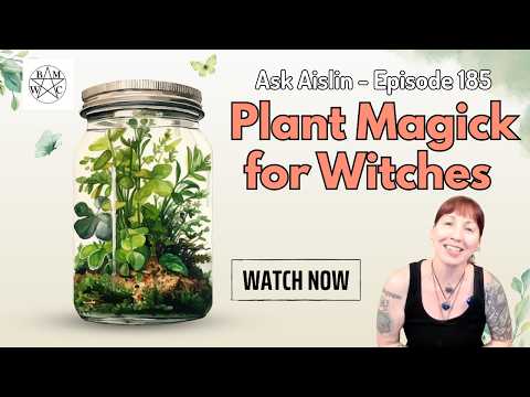 List Of Magickal Herbs