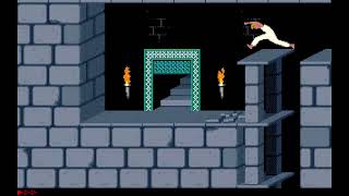 Title: Prince of Persia 1 – Final Level screenshot 3
