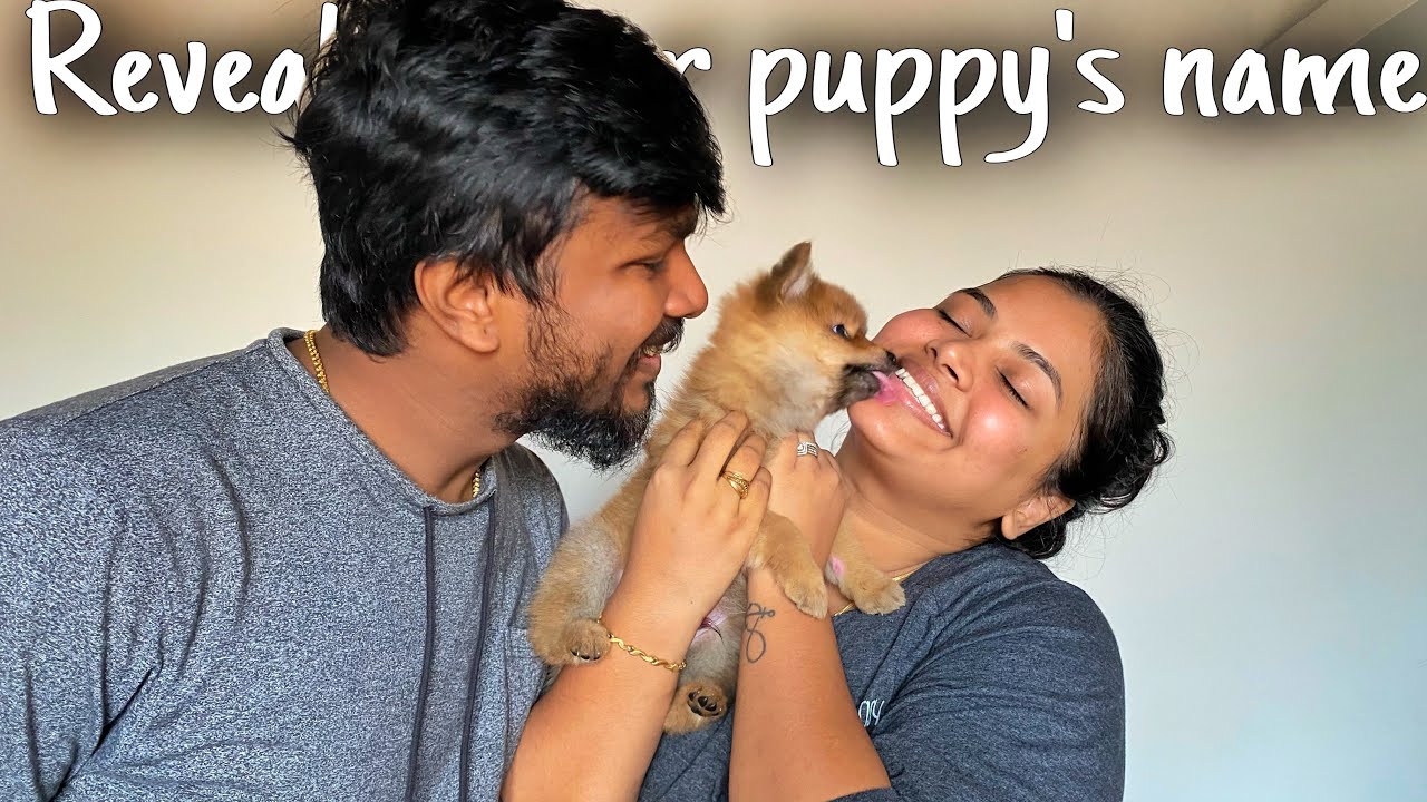 We played dare games for 24hours and named our puppy  - YouTube