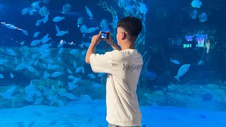 Aquarium Lotte Hanoi Recording / BEHIND THE SCENES (August 2024) screenshot 5
