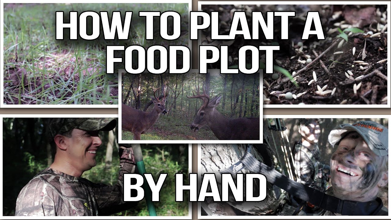 How to plant a food plot by hand Deer hunting tip YouTube