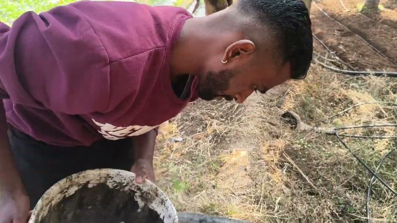 ನಮ್ಮಿಬ್ಬರ ಮೊದಲನೇ ಶಿವರಾತ್ರಿ ಹೇಗಿತ್ತು ನೋಡಿ ಫ್ರೆಂಡ್ಸ್ 😍 ನಮ್ಮೂರಲ್ಲೇ ಈಶ್ವರನ ದೇವಸ್ಥಾನಕ್ಕೆ ಹೋಗಿದ್ವಿ 🙏