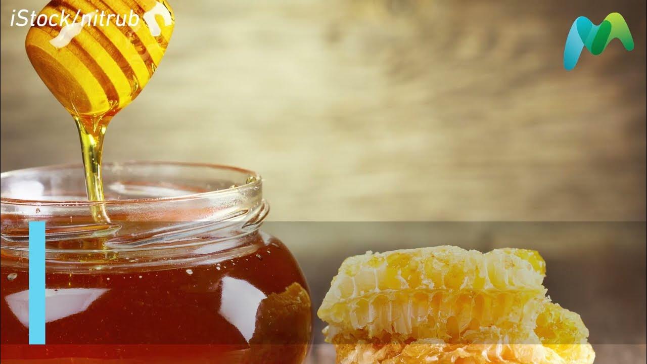 Manuka honey could help to clear deadly drug-resistant lung infection