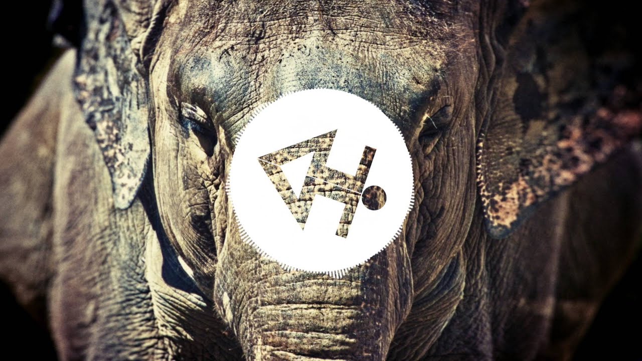 Keku x Hydrojaxx - Elephant (Original Mix)