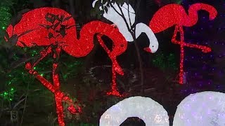 Florida Botanical Gardens kicks off Holiday Lights in the Gardens