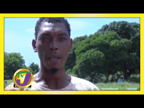 TVJ Bite of the Week - November 6 2020