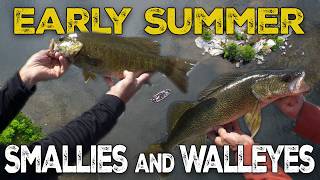 Why Rainy Lake Is Minnesota’s Hidden Gem
