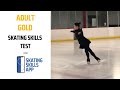 Adult gold skating skills test formerly the adult gold moves in the field test