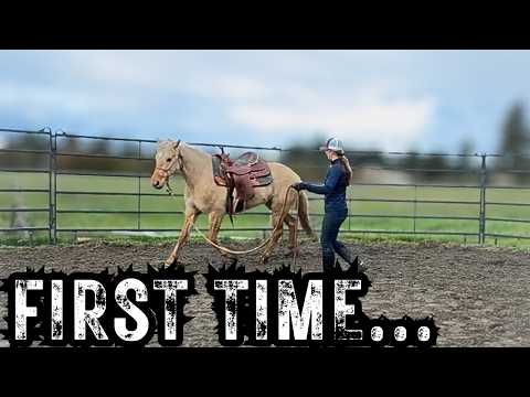 Mustang Stampede Saddle Up For A Wild Ride At Boonville Ford
