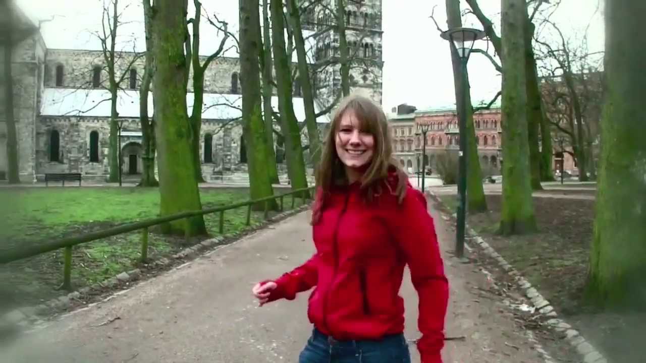 Pharrell Williams - HAPPY ( We are from Lund, Sweden )