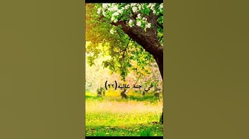 استمع لا تهرب من القرآن الكريم 💖
