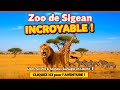 " Amazing Sigean Zoo! Lions, Giraffes &amp; Wild Animals in Freedom 🐆🇫🇷 " 