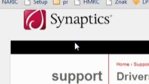Synaptics TouchPad drivers , settings ENG RUS