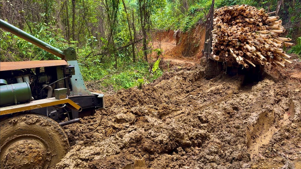 Xe Độ Chở Gỗ Keo, Một Con Đường Khó Khăn Và Thiện Hại Xe Nguy Hiểm #bòvàng 