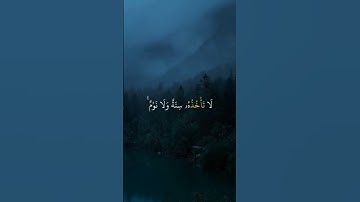 استمع القران الكريم دقيقه